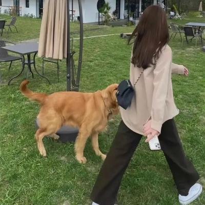 关于爱情和那些魔鬼